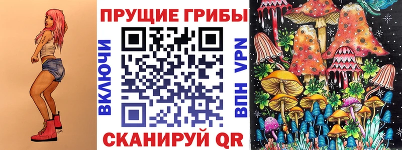 как найти закладки  Томилино  Псилоцибиновые грибы прущие грибы 
